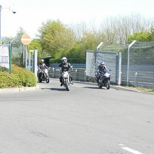 P1040514 (Large) (Medium).JPG