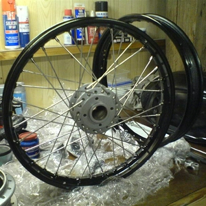 DSC00097 (Medium).JPG