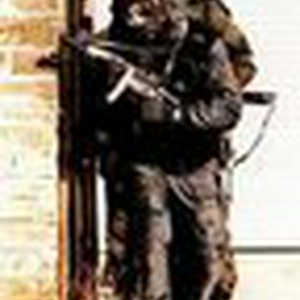sas.jpg