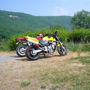 ardennen.jpg