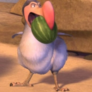 dodo.jpg