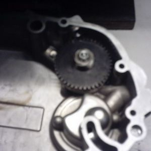 IMAG0003_klein.jpg