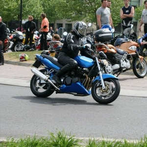 IMG_333.jpg