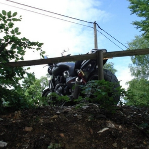 DSC00605.jpg
