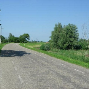 DSC00784.JPG