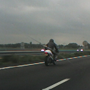 gespot MF.JPG