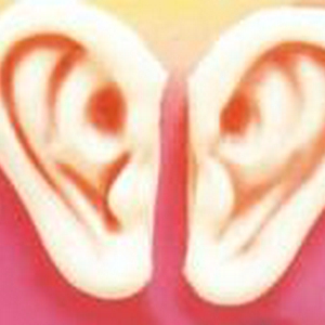 bpartsbigears.jpg