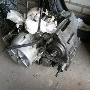 S7300350.JPG