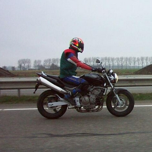 MF-er III.jpg