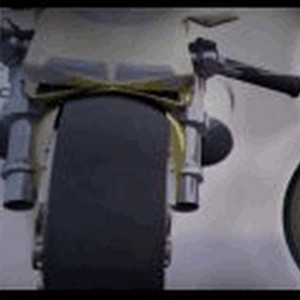 welk2.gif