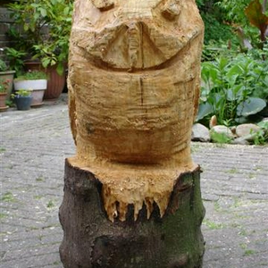 DSC03956 (Small).JPG