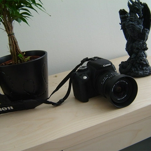 DSC01141-(small).jpg
