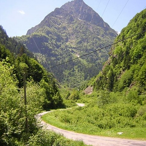 pmt071.JPG