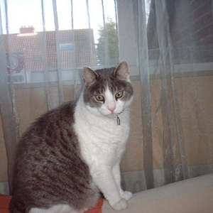 DSCF0001.jpg