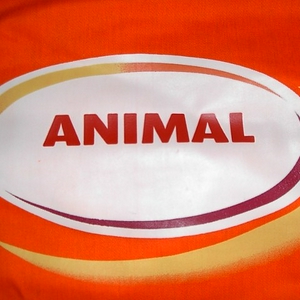 PICT1547.JPG