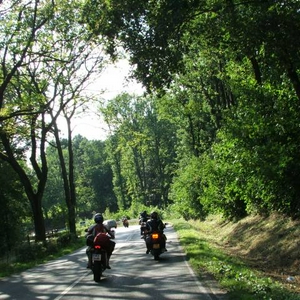 DSCF2439.JPG