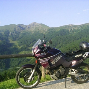 PIC_0009.JPG