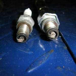 SA501291.JPG