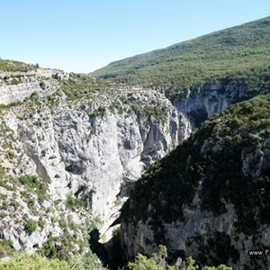 PY1R0322.JPG
