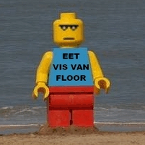 VISVANFLOOR.gif