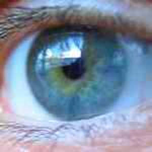 eyeb2.jpg