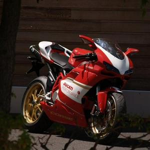 1 (Large).jpg