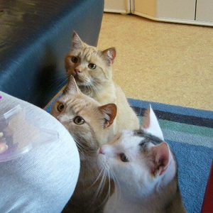 P1020706.jpg