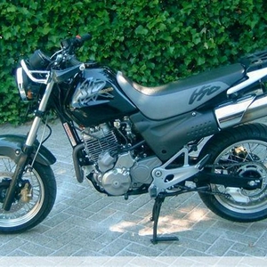 17491357 (Medium).jpg