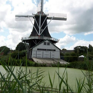 100_3886a.JPG