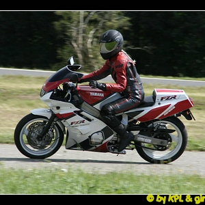 steeg 305-border.jpg