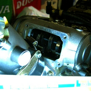 SA501451.JPG