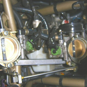 SA501447.JPG