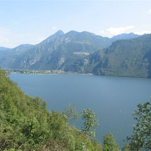 IMG_4366.JPG