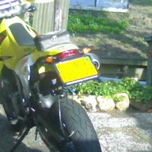 drz5.jpg