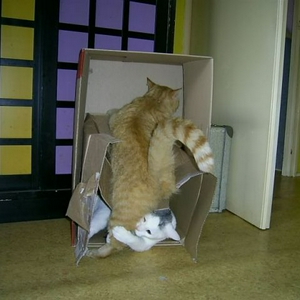 PIC_0006.JPG