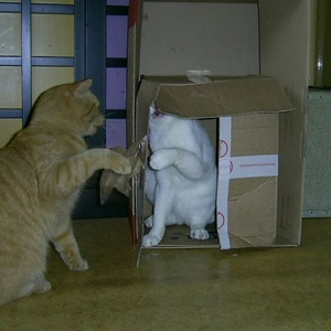 PIC_0002.JPG