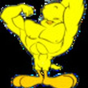 bodybuildingtw.gif