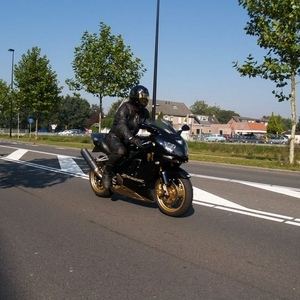 cees.jpg