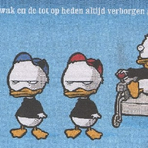 kwik kwek en kwak.jpg