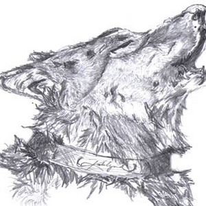 wolf.jpg