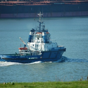 DSC_0611.JPG
