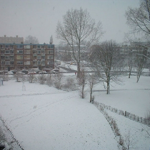 winter.jpg