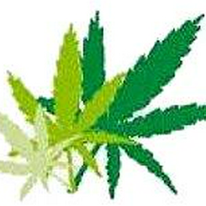 weed.jpg