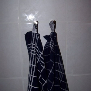Picture.jpg