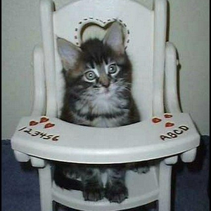 Babychair.jpg