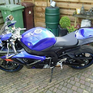 MF 06.JPG