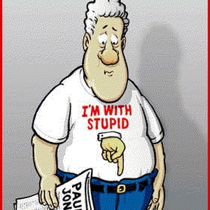 withstupid.gif