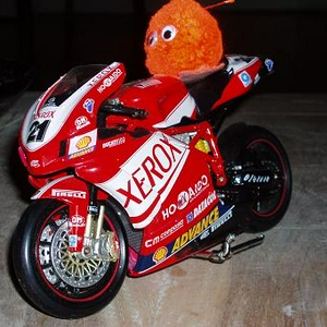 Duc2.JPG