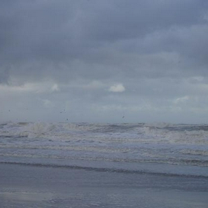 Scheveningen 11-11-07 022a.jpg