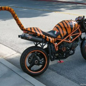 TigerMotor002.jpg
